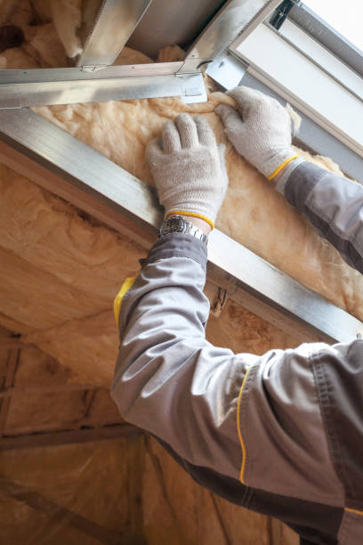 Best Insulation Installation Services in Round Lake Beach, IL